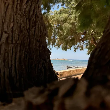 Baloma Agios Fotios