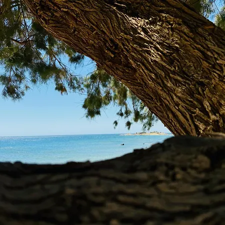 Baloma * Agios Fotios